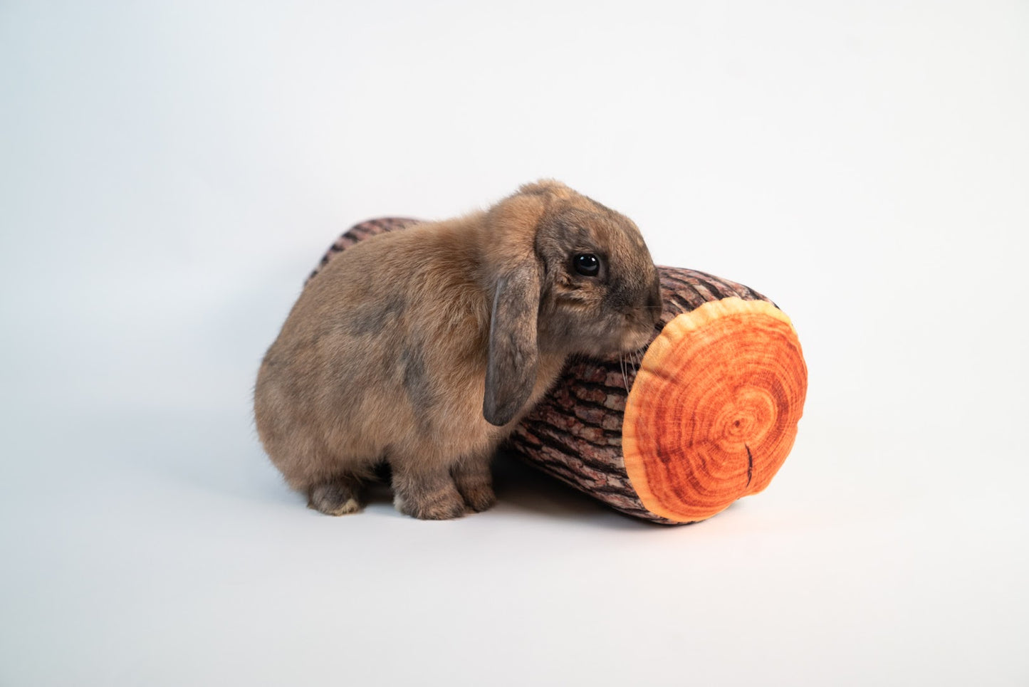 Tree Stump Cushion & Log Cushion