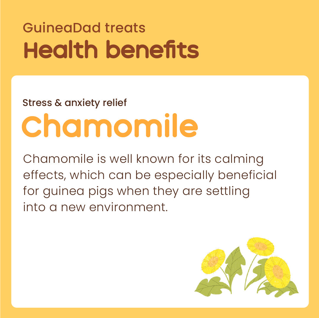 Chamomile Treat Cup
