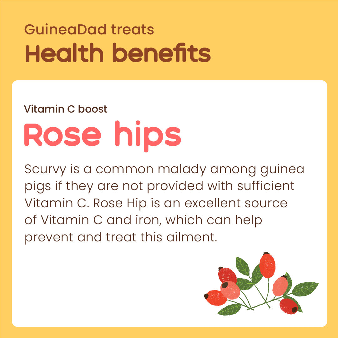 Rose Hip Treat Cup