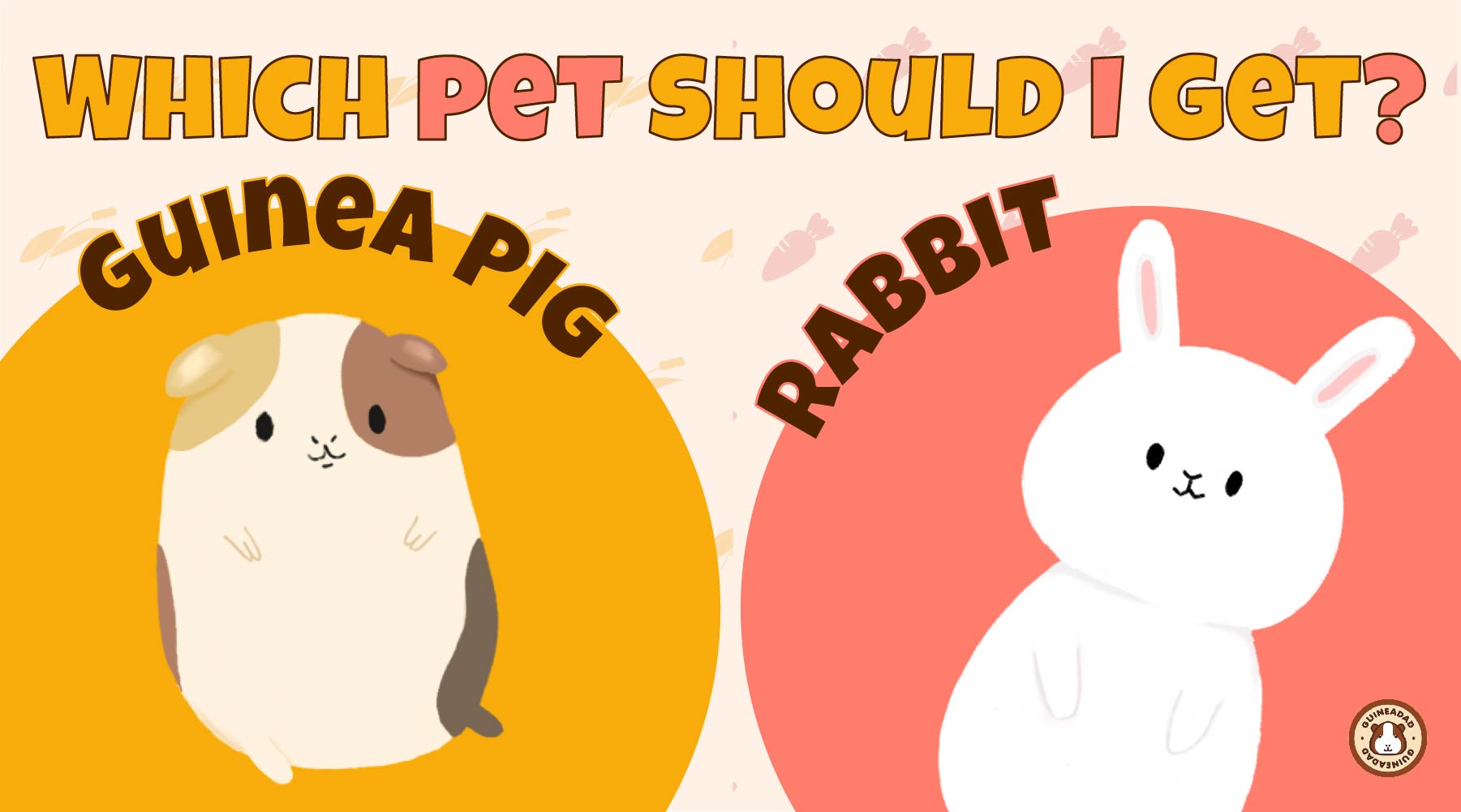 Rabbit vs Guinea Pig. Which pet should I get? (with Infographic ...