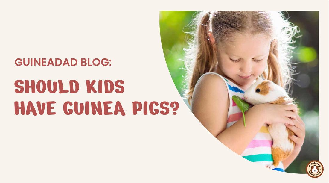 should kids have guinea pigs?