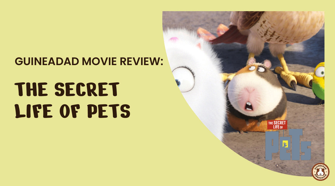 the secret life of pets movie review