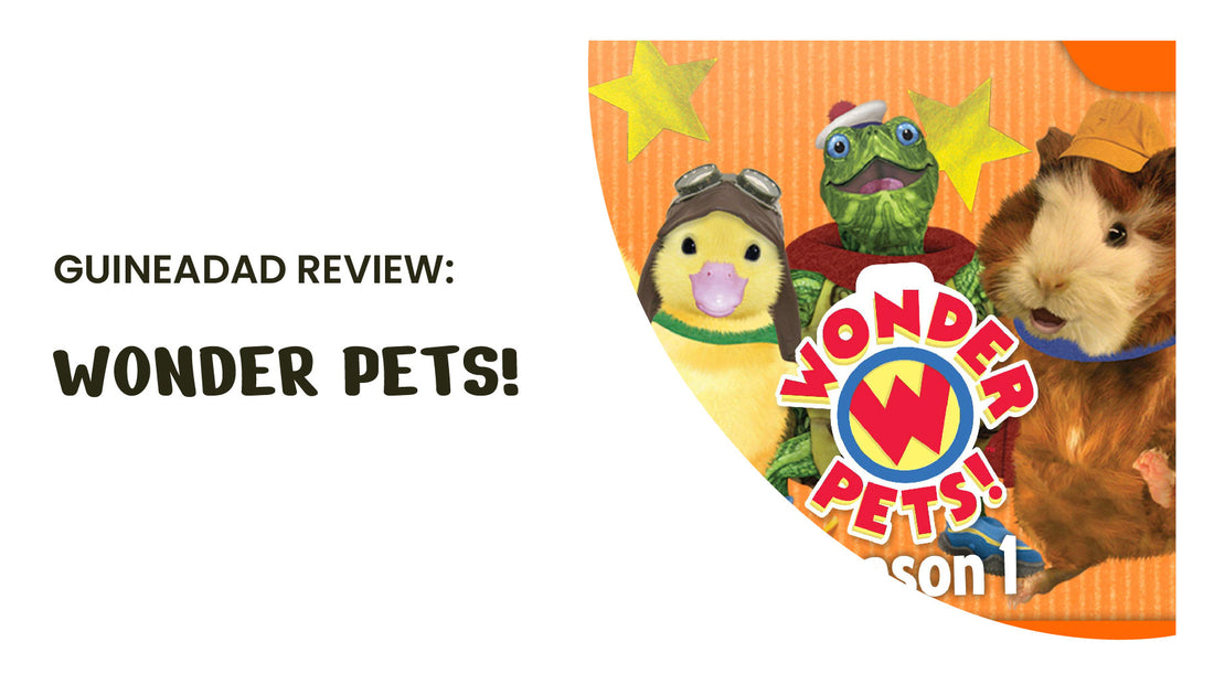 GuineaDad Wonder Pets! review
