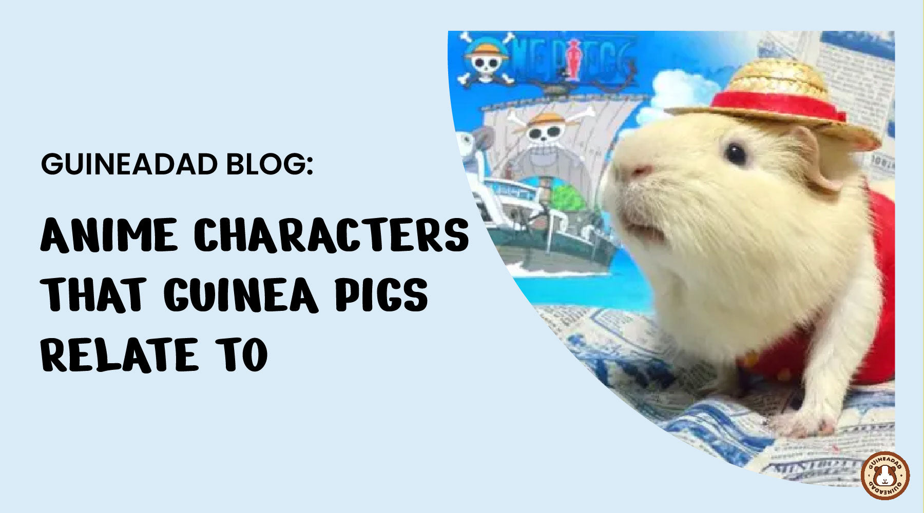 Anime characters that guinea pigs would relate to GuineaDad