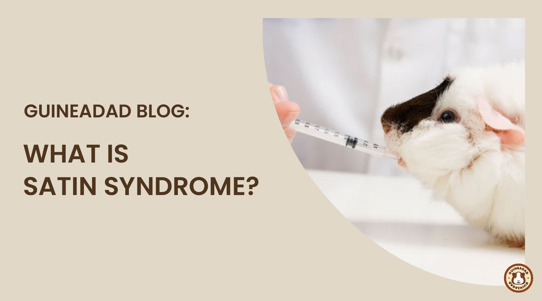 What is satin syndrome?