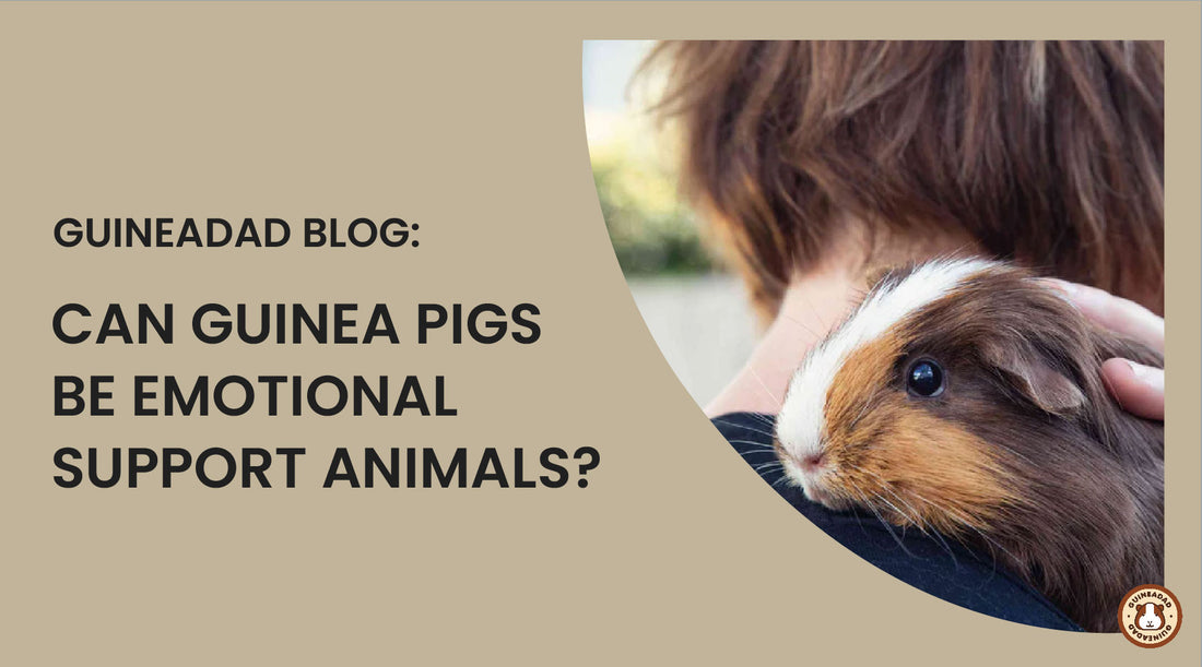 can guinea pigs be emotional support animals?