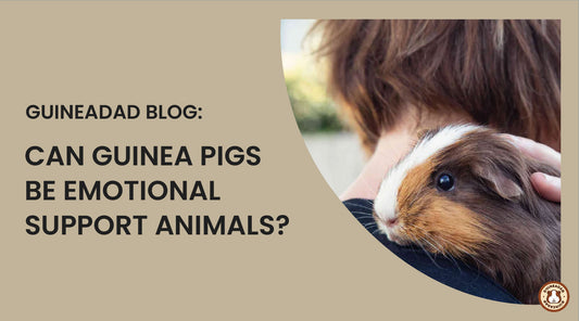 can guinea pigs be emotional support animals?