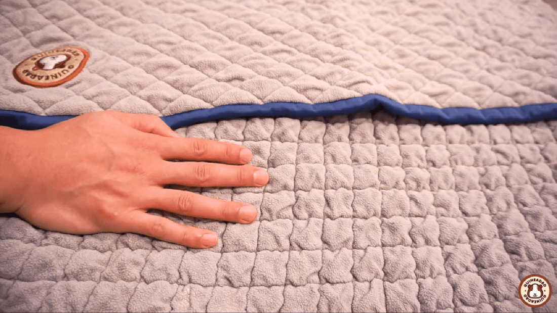 Guinea pig dad sales fleece