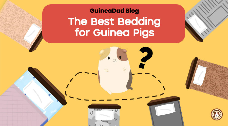 Compare 5 different types of guinea pig bedding commonly used amongst guinea pig owners and why GuineaDad Liners are the best guinea pig bedding and guinea pig fleece liner option