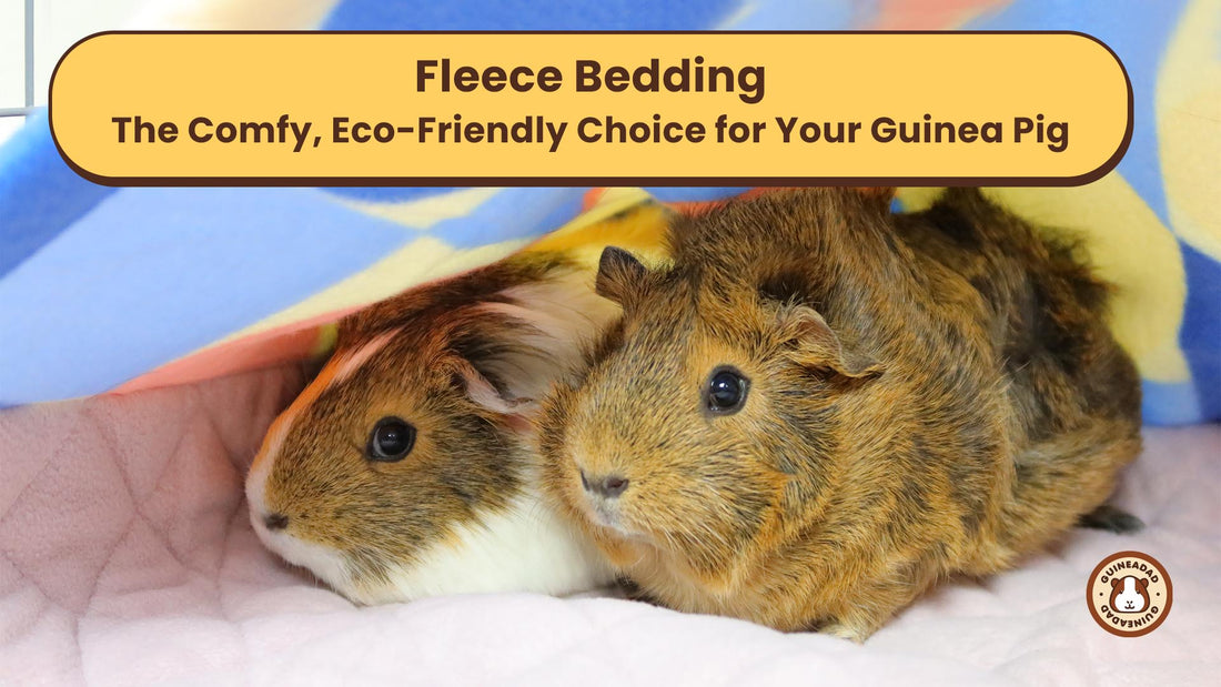 Fleece Bedding The Comfy, Eco-Friendly Choice for Your Guinea Pig