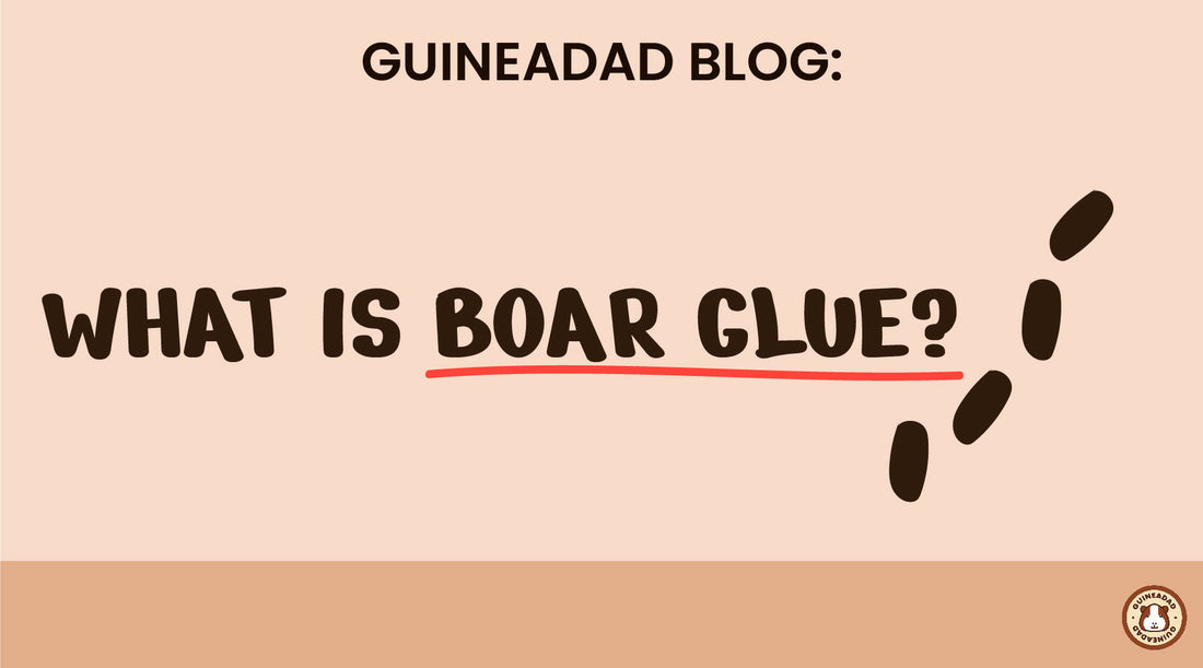 What is boar glue?