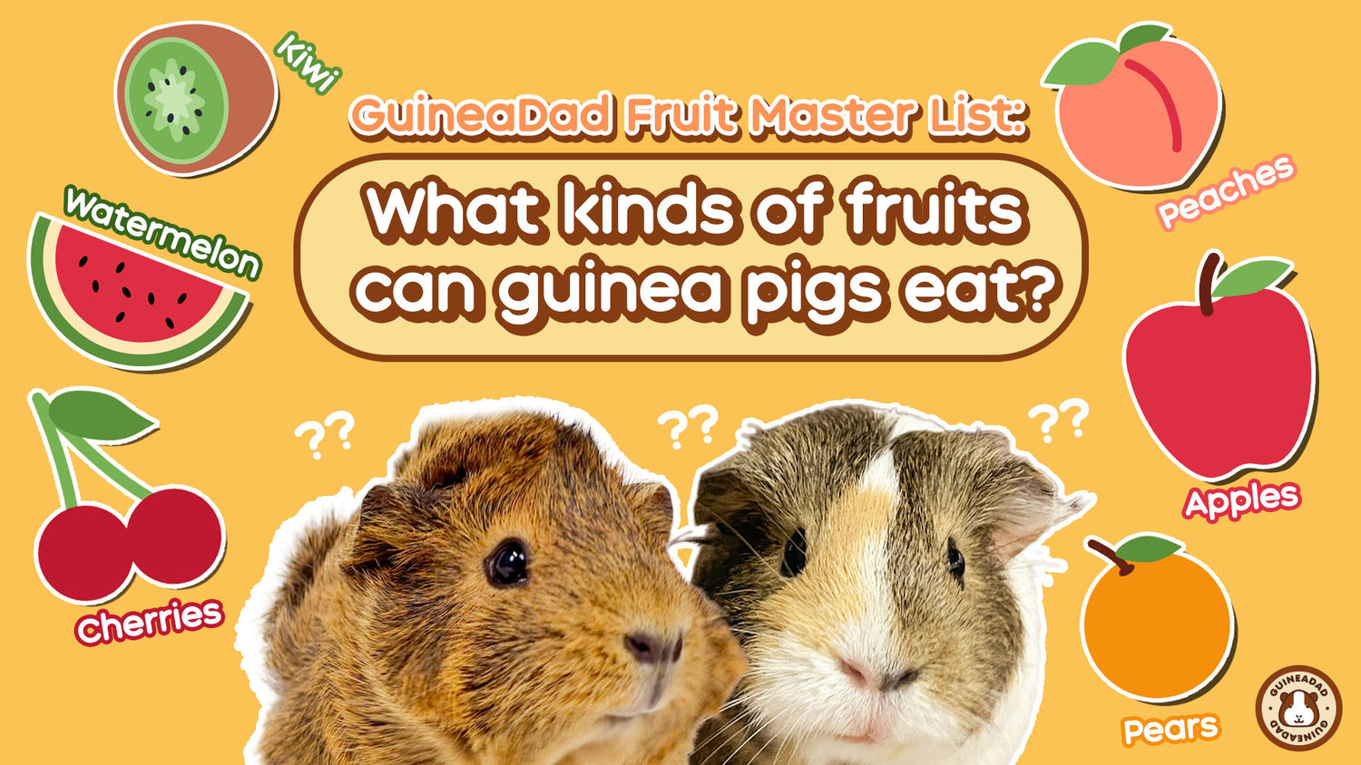 Image showcasing GuineaDad Fruit Master List: What kinds of fruits can guinea pigs eat ...
