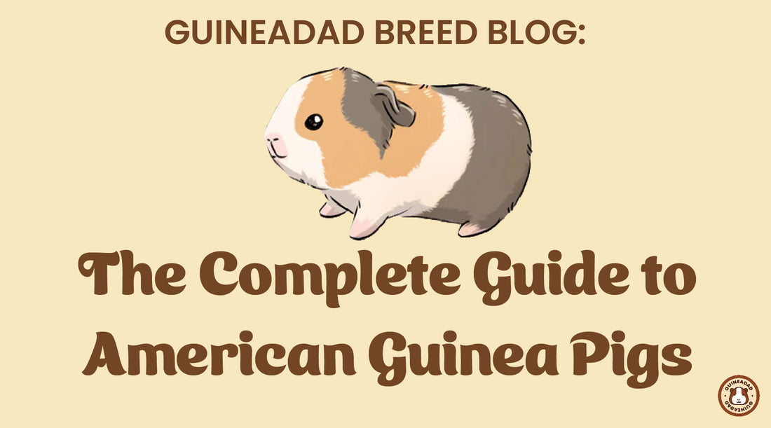 The complete guide to American guinea pigs