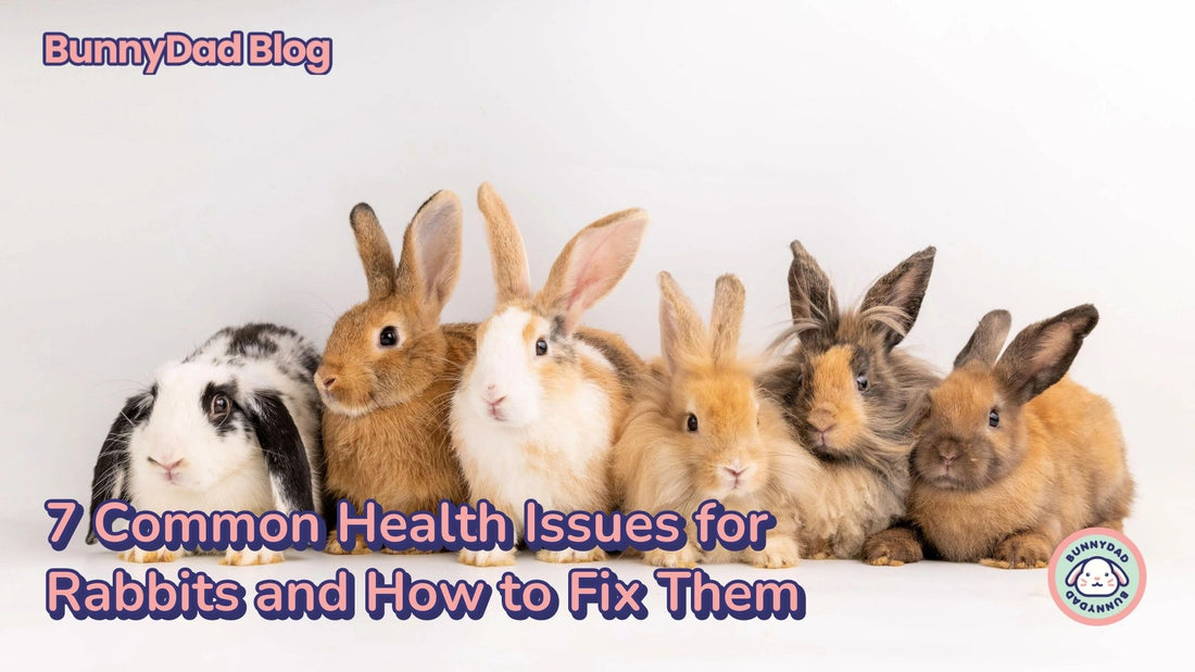 7 common health issues for rabbits and how to fix them - a line of bunnies sitting together