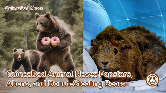 GuineaDad Animal News Blog - 9/23/23  "Popstars, Aliens, & Donut Stealing Bears"