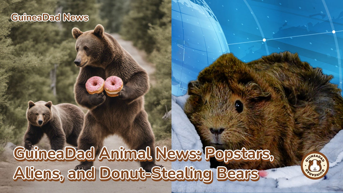 GuineaDad Animal News Blog - 9/23/23  "Popstars, Aliens, & Donut Stealing Bears"