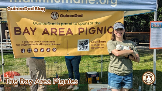 The Bay Area Pignics - 2023