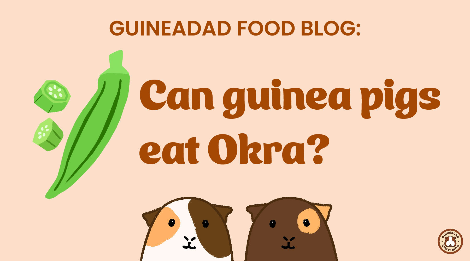 Illustration of Guinea Pig Pumpkin And Okra Recipes