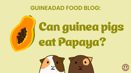 Can guinea pigs eat papaya?