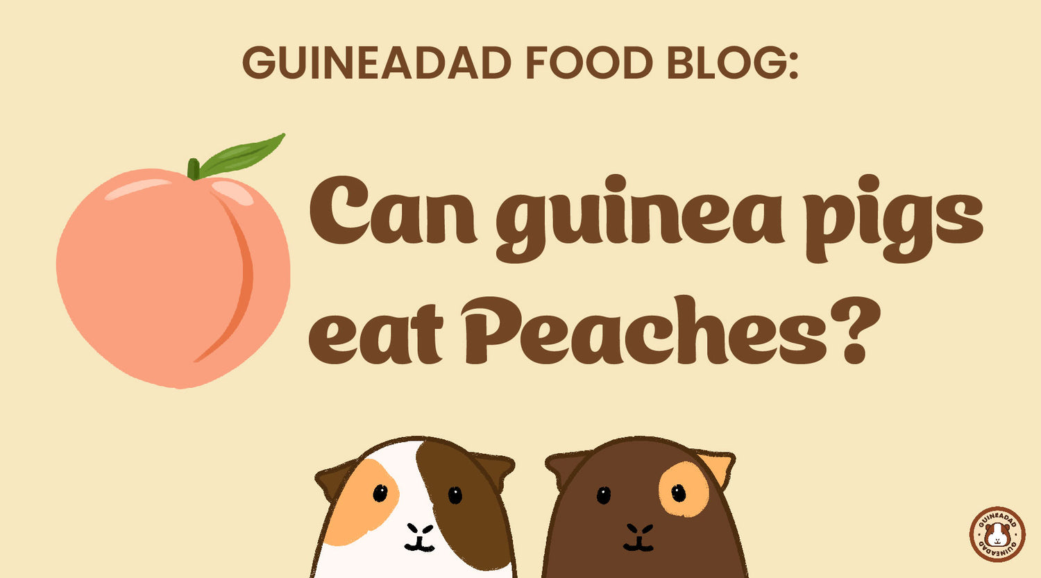 GuineaDad Food Blog Can guinea pigs eat peaches?