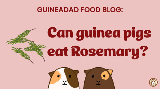 Can guinea pigs eat rosemary?