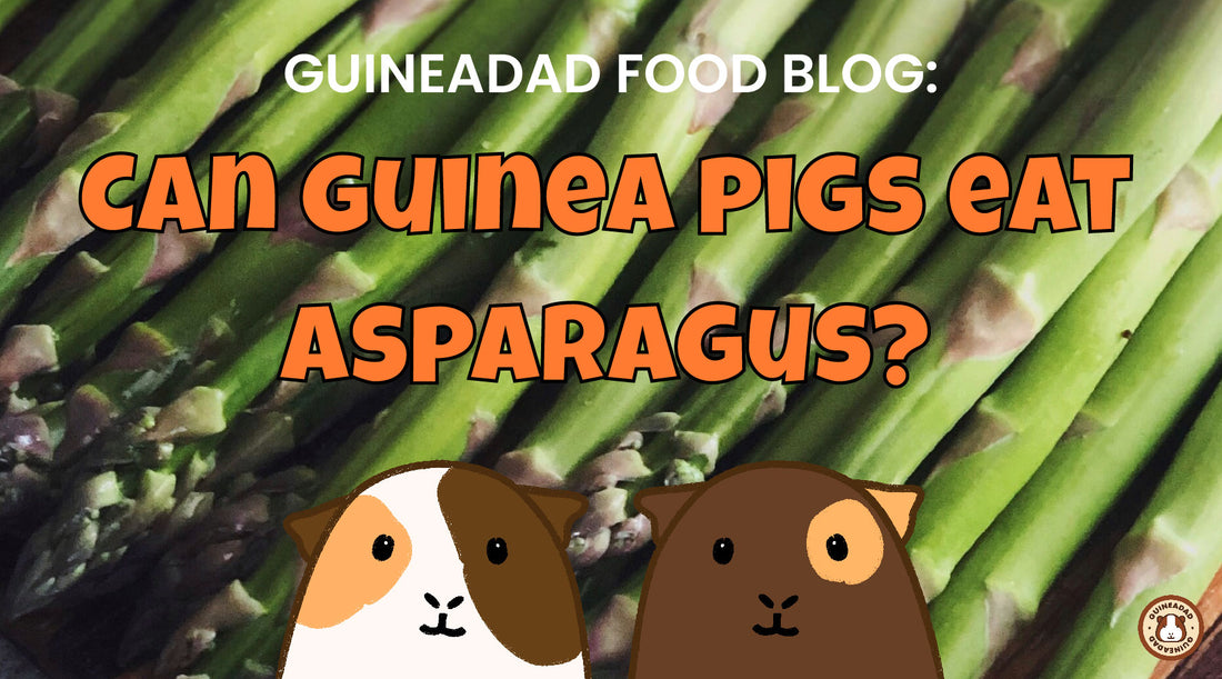Can guinea pigs eat asparagus?