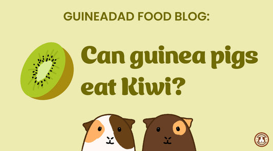 Can guinea pigs eat kiwi?