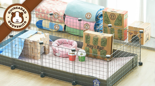 Image of GuineaDad Piggy Condo C&C Cage with other guinea pig products from GuineaDad for blog covering Guinea Pig Cage Essentials: Complete Setup Guide. Featuring GuineaDad Liners, Hay Box, Hay Bar, Organic Herbal Treats, Pea Flakes, Toys and more!