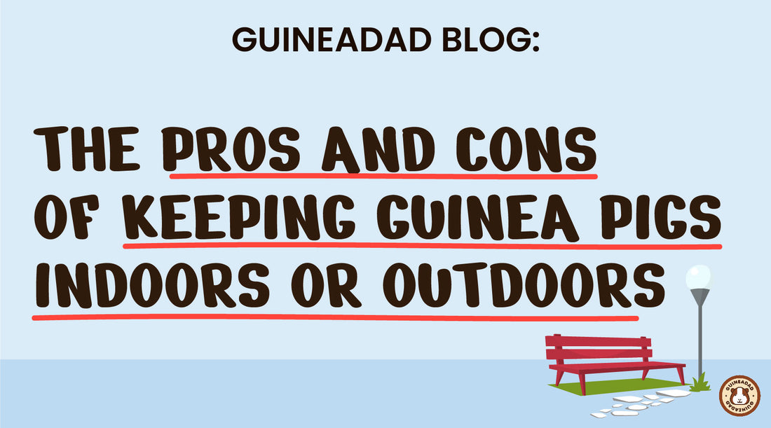the pros and cons of keeping guinea pigs indoors or outdoors
