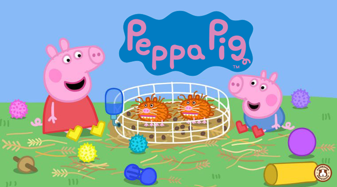 Peppa Pig and guinea pigs