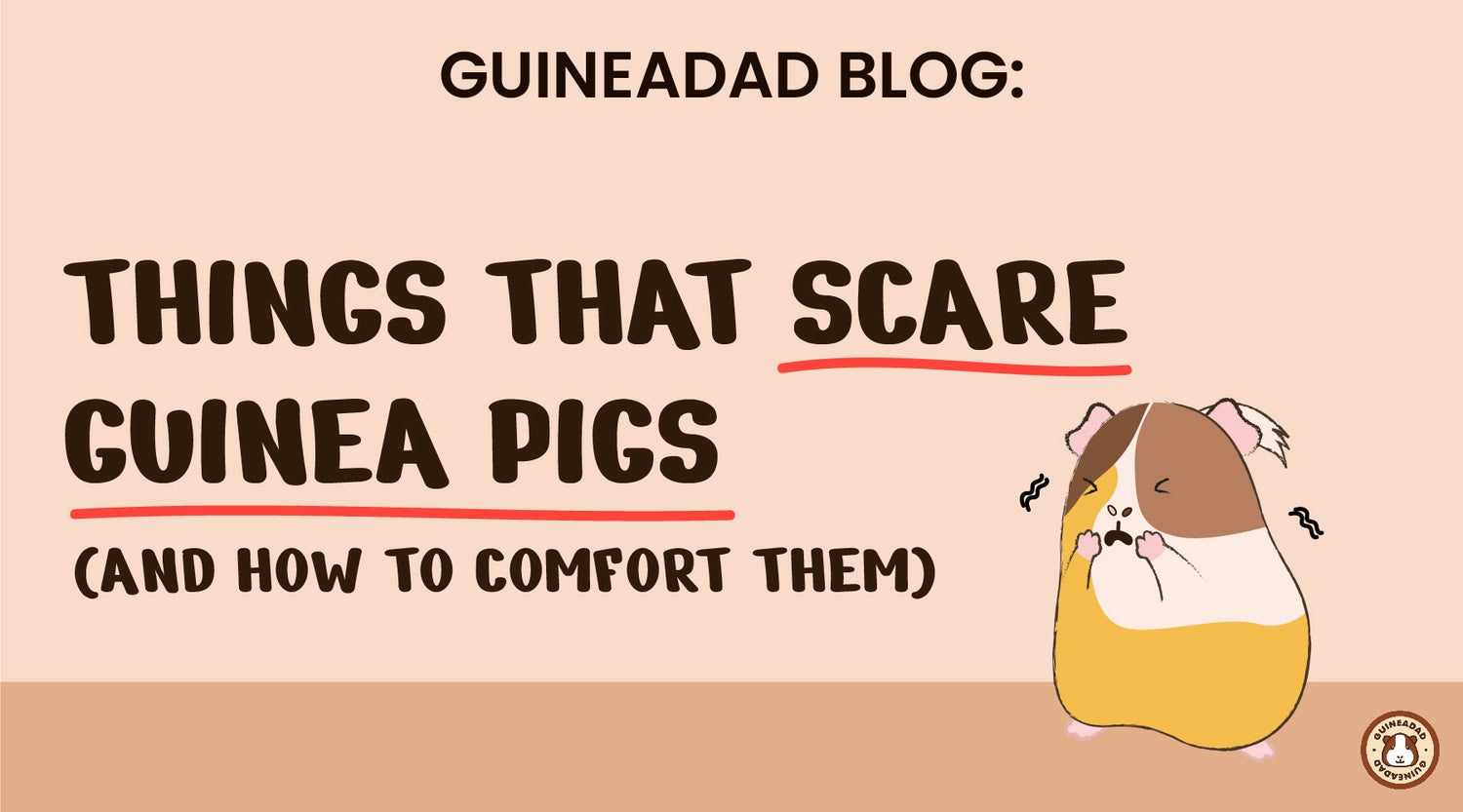 Things that scare guinea pigs (and how to comfort them) GuineaDad