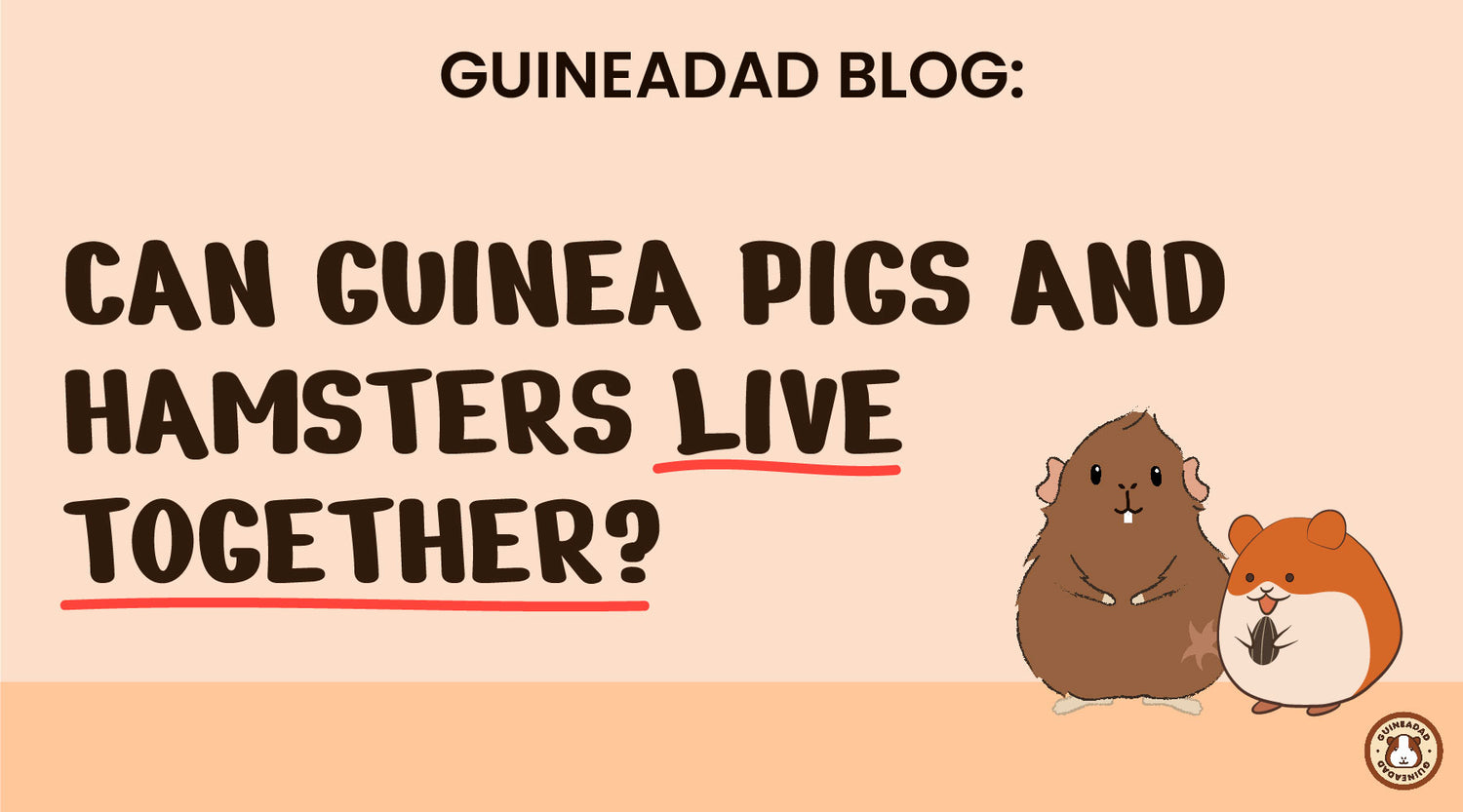 Can guinea pigs and hamsters live together? GuineaDad