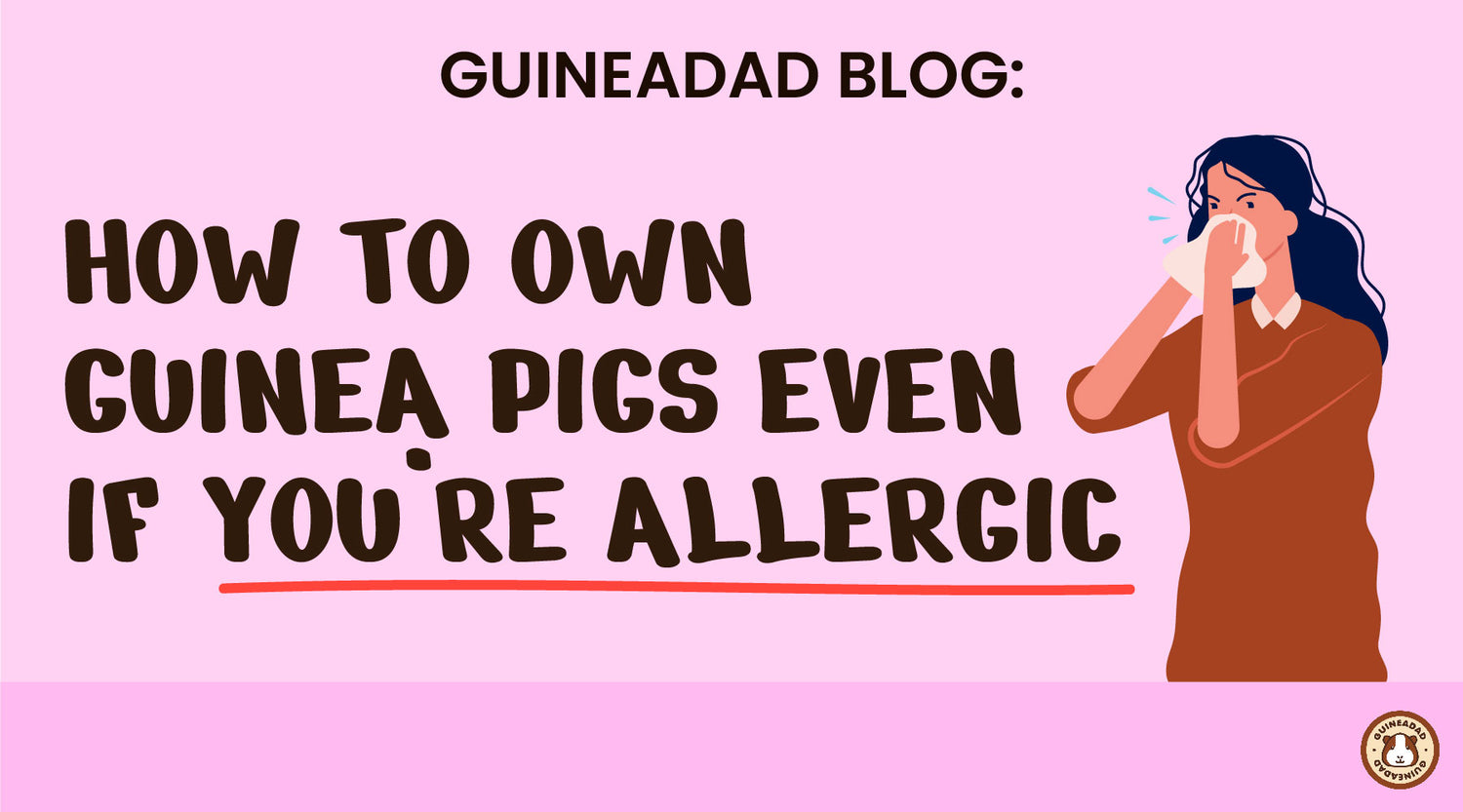 How to own guinea pigs even if you're allergic GuineaDad