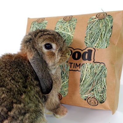 On a white background, there is an opened Timothy HayPod with an adorable dark chestnut brown rabbit in front. The rabbit is attempting to eat the hay inside the opened HayPod, which is fully revealed and filled with fresh green hay. The image captures the charming scene of the opened HayPod and the cute rabbit eagerly enjoying the hay.