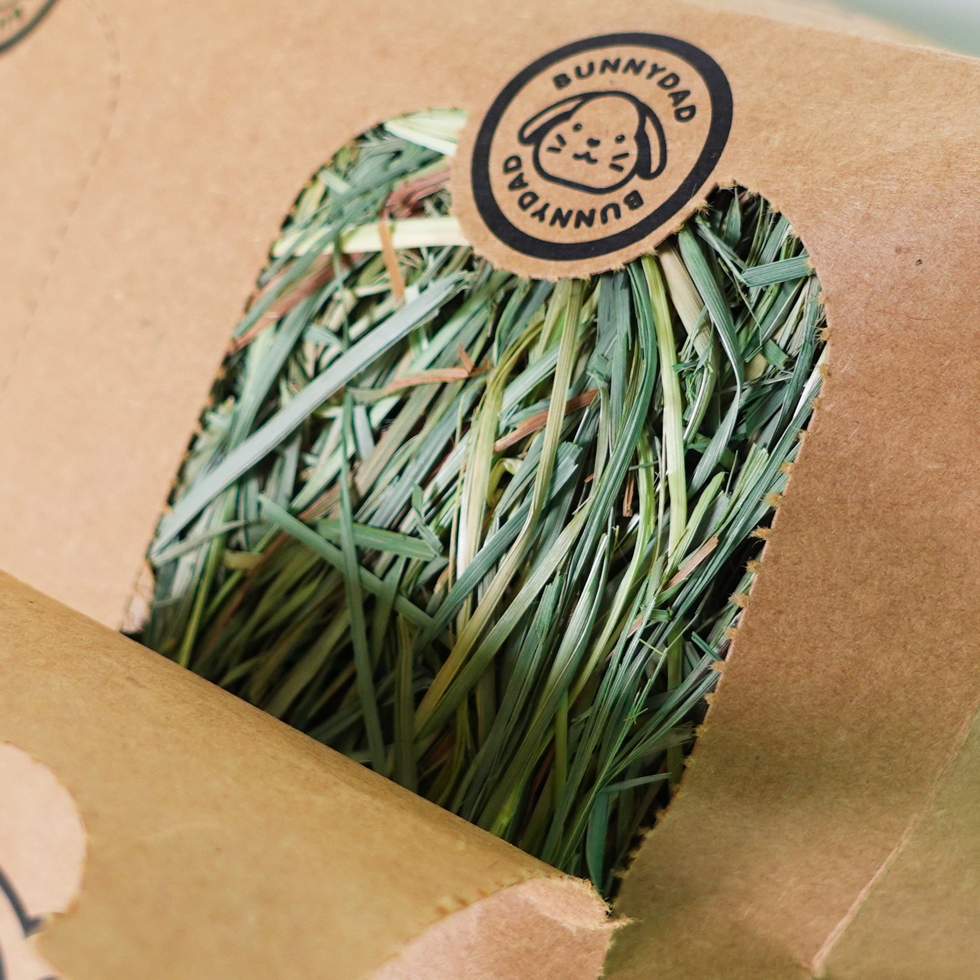 Close-up shot of an opened Hay Pod on a white background, highlighting the detailed view of the partially opened section. The image depicts the intricate closure mechanism of the Hay Pod, showcasing the process of securing it. Inside the opened Hay Pod, vibrant green fresh hay is visible, with the BunnyDad logo prominently displayed on top.