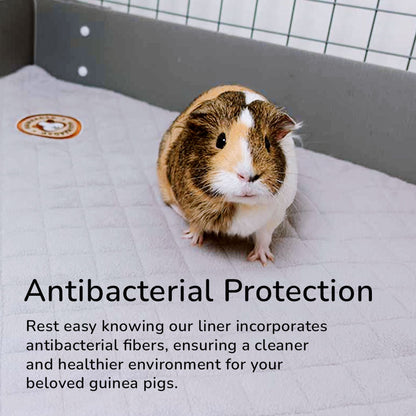 An image of a guinea pig sitting on a quilted white liner inside a cage with the text 'Antibacterial Protection' above it. The text below states 'Rest easy knowing our liner incorporates antibacterial fibers, ensuring a cleaner and healthier environment for your beloved guinea pigs.