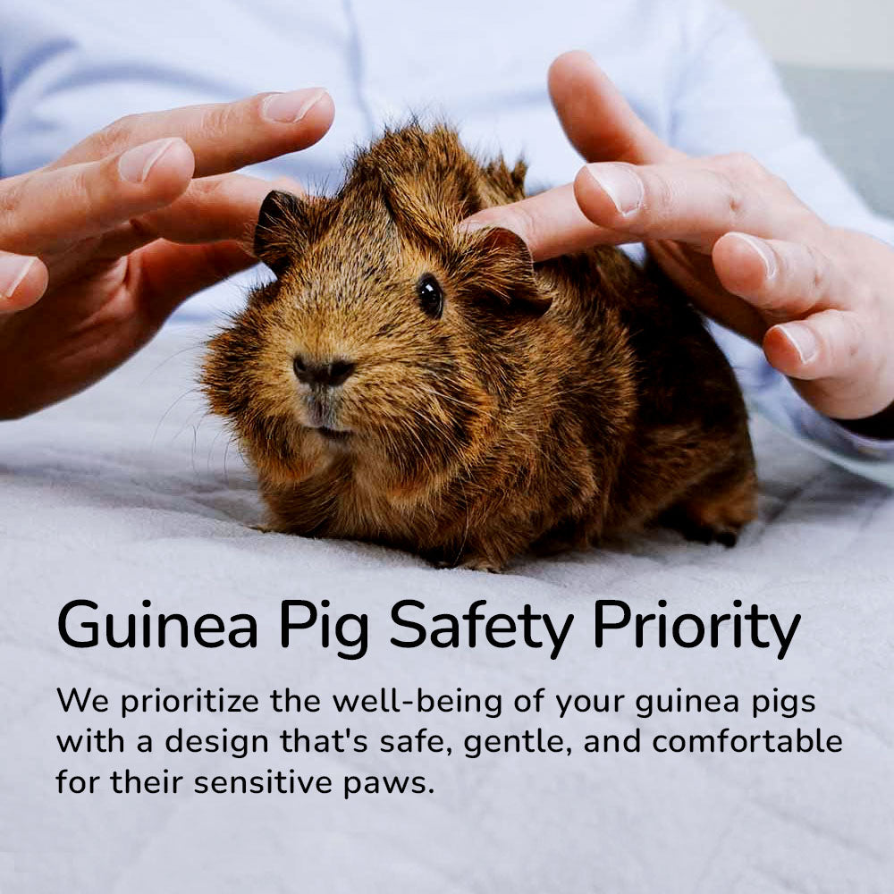 A close-up image of a brown guinea pig being gently held by a person's hands on a soft white liner. The text above reads 'Guinea Pig Safety Priority' and the text below states 'We prioritize the well-being of your guinea pigs with a design that's safe, gentle, and comfortable for their sensitive paws.'
