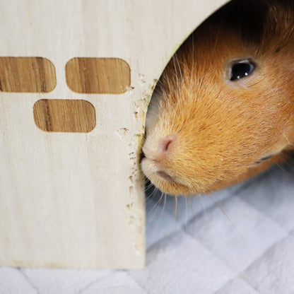 A close-up image of a golden guinea pig peeking out from the entrance of the 'Queen's Castle,' a wooden hideout designed for guinea pigs. The edge of the entrance shows signs of being chewed on, indicating the guinea pig's natural behavior to gnaw. The castle is placed on a textured liner, highlighting the pet-safe features of the product.