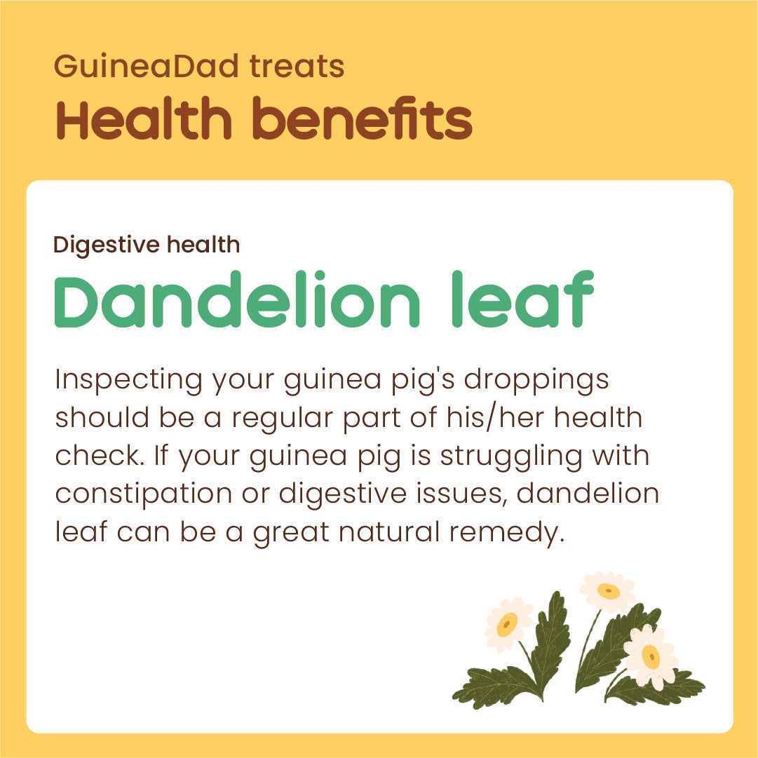Subscription Dandelion Leaf Treat Cup