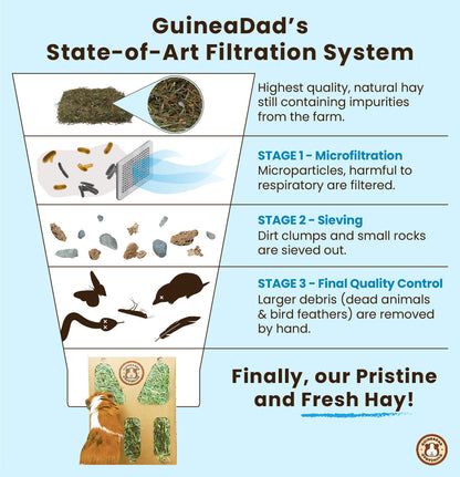 GuineaDad's State-of-Art Filtration System Infographic. Microfiltration: Filtering microparticles harmful to respiratory health. Sieving: Removing dirt clumps and small rocks. Final Quality Control: Hand-removing larger debris like dead animals and feathers. The last image shows a Guinea pig enjoying fresh GuineaDad Hay with the caption 'Finally, our pristine and fresh Hay!