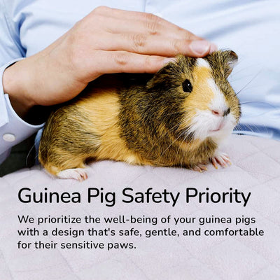 Beautiful view of Guinea Pig Wellness Center