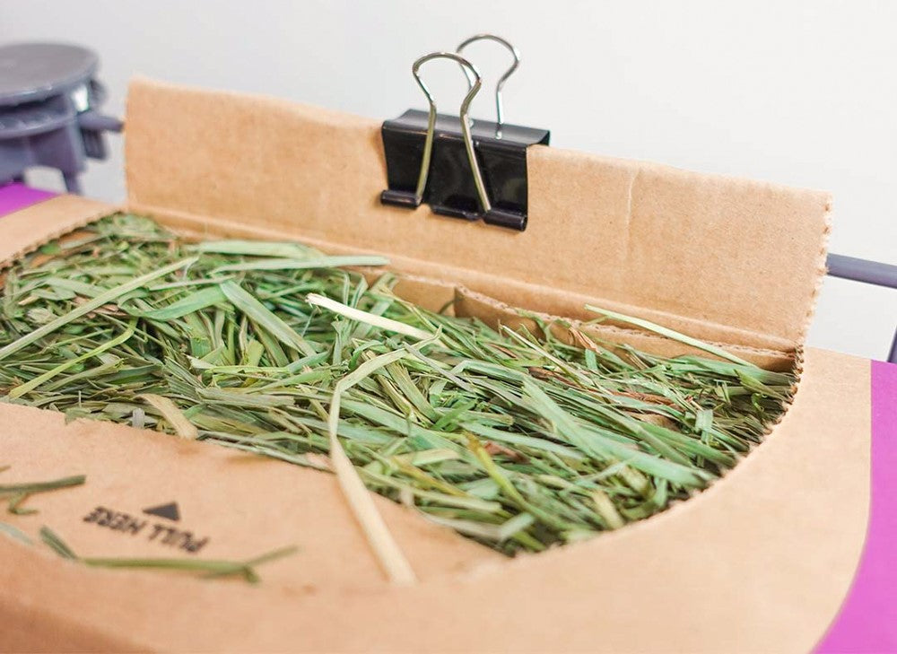 BunnyDad Timothy Hay Pod for Rabbits (5 Pack) GuineaDad
