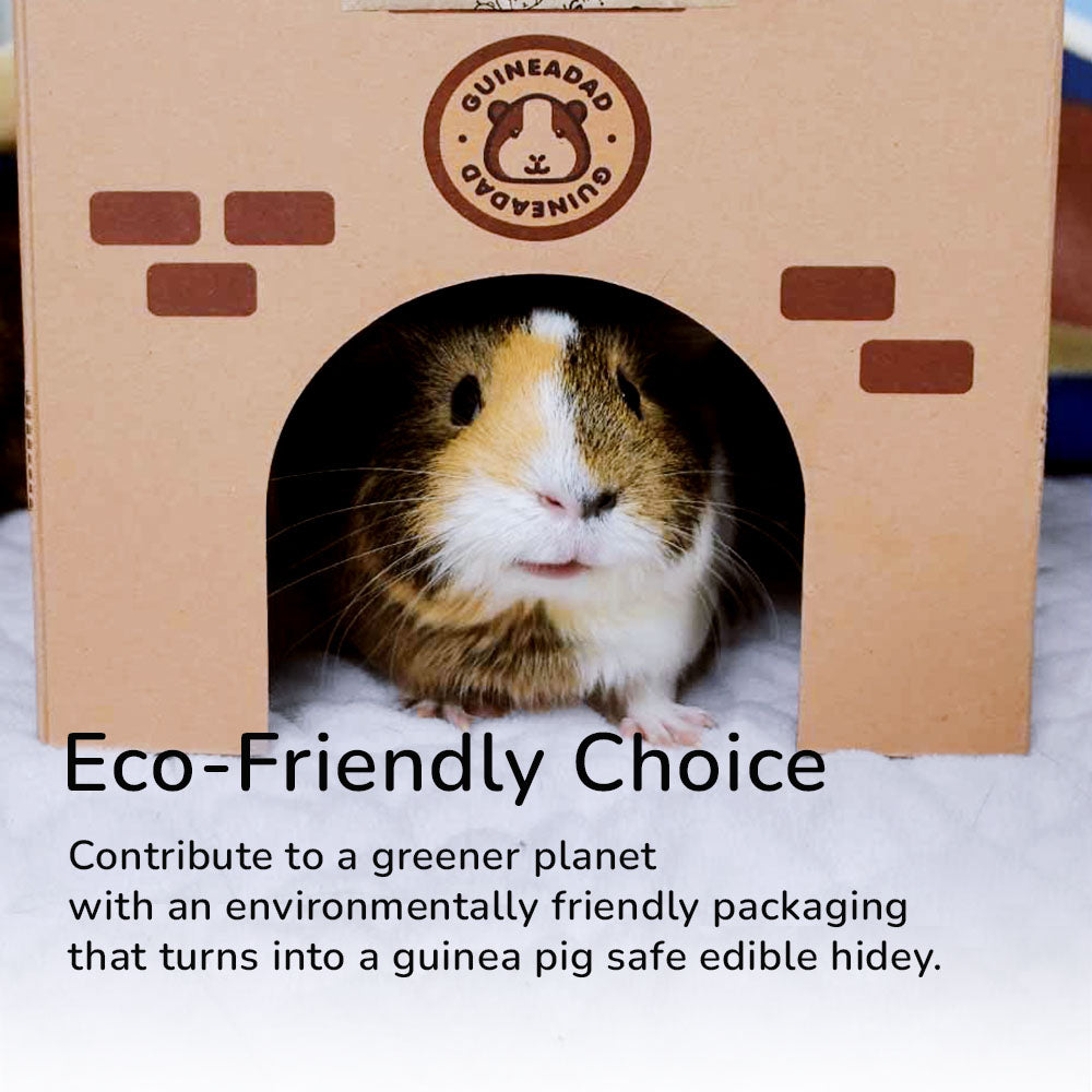 Guinea pig edible hot sale house