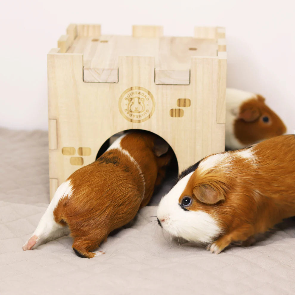 Three guinea pigs are seen entering a plush 'Queen's Castle' hideaway on an Original GuineaDad Liner. They look comfortable and curious as they explore their new castle, which is richly textured to resemble stone, with the 'GuineaDad' logo above the entrance. The liner is quilted for comfort, enhancing the overall cozy setting for the pets.