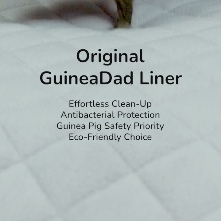 A guinea pig softly lands on the plush Original GuineaDad Liner. Original GuineaDad Liner Effortless Clean-up, Antibacterial Protection, Guinea Pig Safety Priority, Eco-Friendly Choice