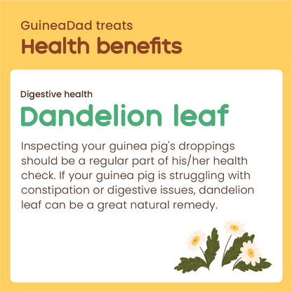 Dandelion Leaf Treat Cup