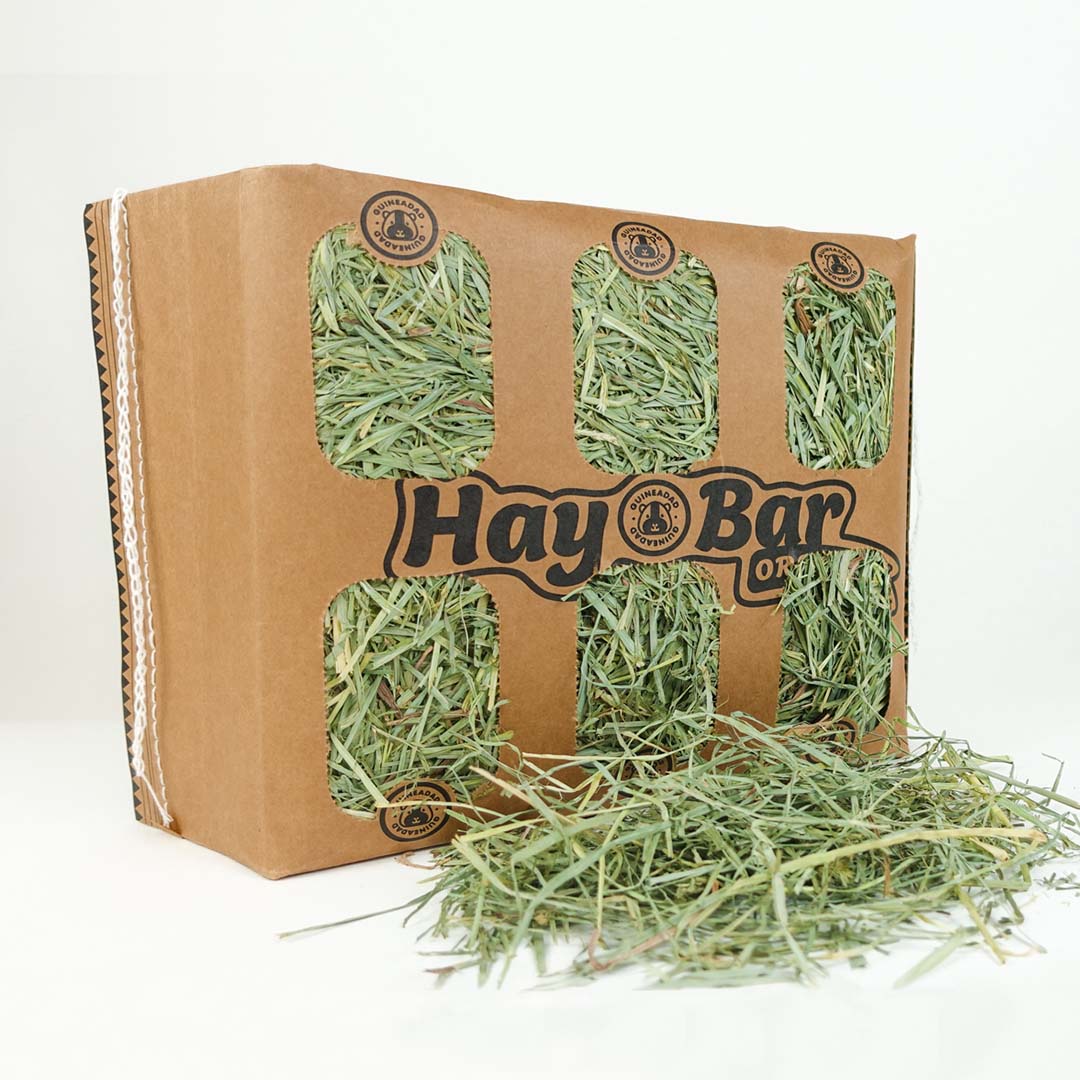 A closer look at Custom Guinea Pig Hay Delivery Gift Boxes
