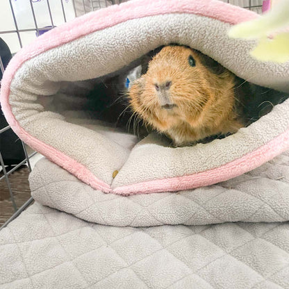 A Guinea Pig in Offbeat Piggy Play Package Tunnel