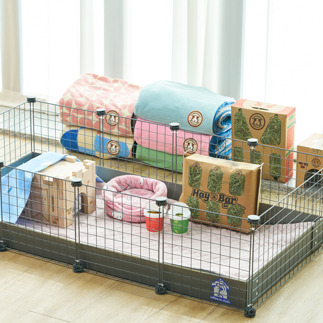 Wire guinea pig outlet cages