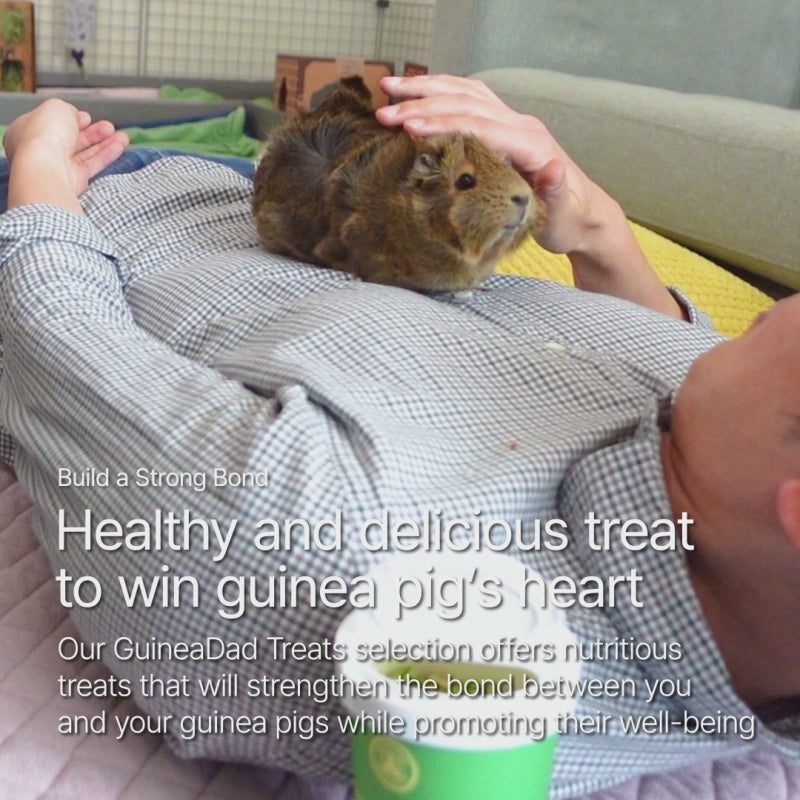 A man who is bonding with a guinea pig on GuineaDad premium liner 